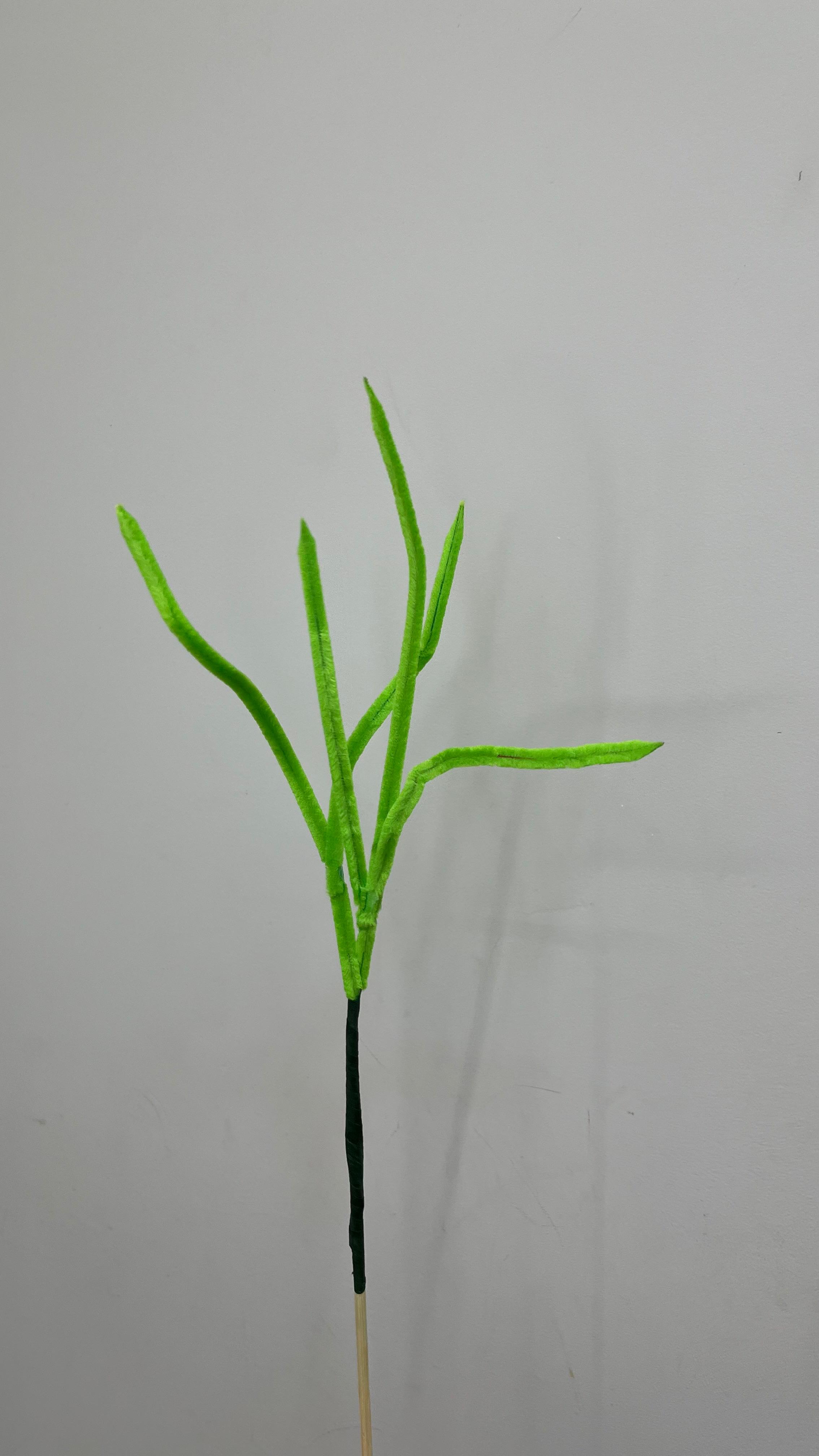 Vagem PipeFlorYou